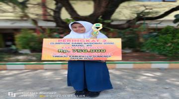 OSN IPS